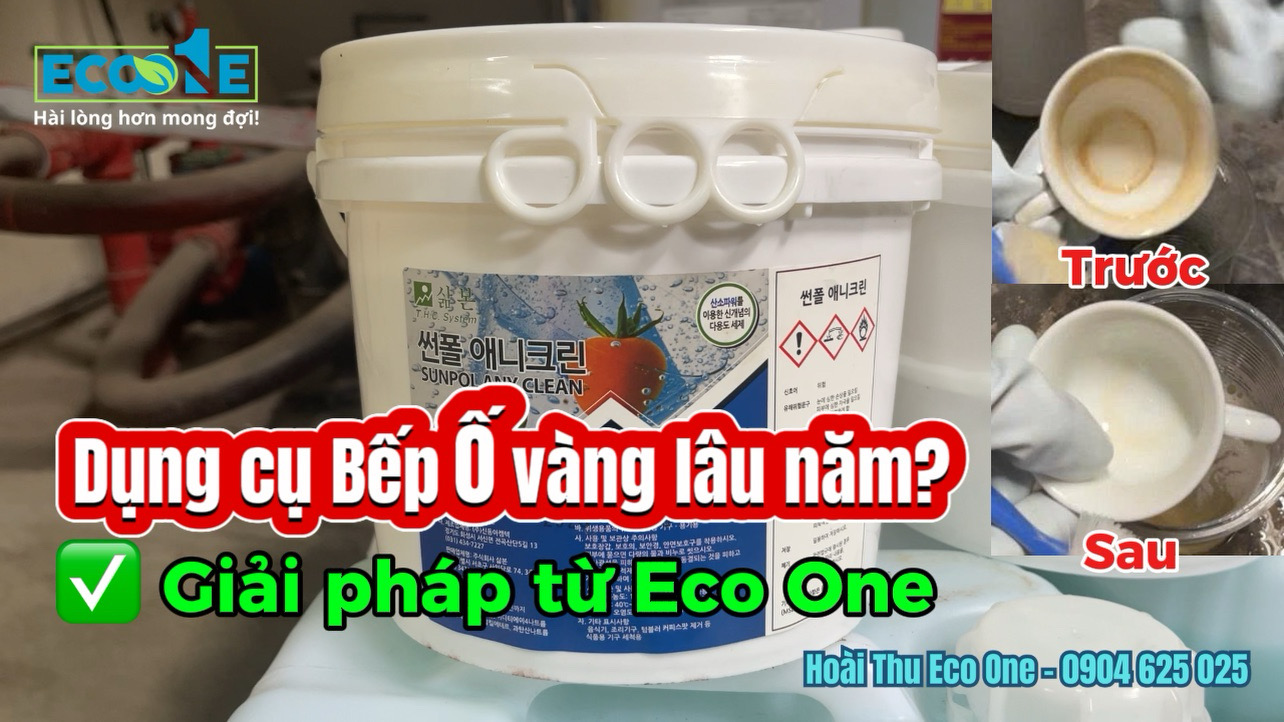 Tẩy Ố Vàng Bát Đĩa Hiệu Quả Với Any Clean Giải Pháp Cho Khách Sạn, Nhà Hàng